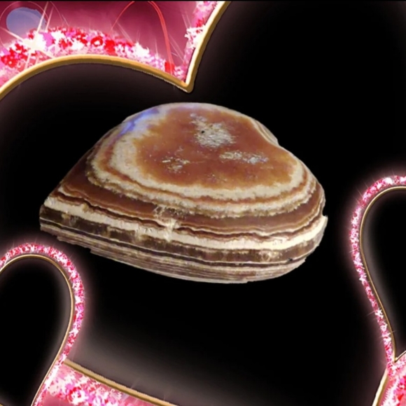 Other - Cute Ribbon Banded Jasper Heart Stone.